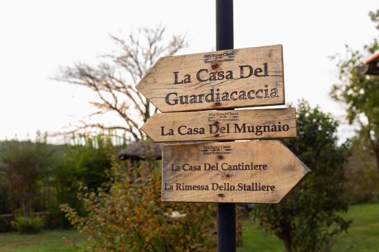 Natouroasi Agriturismo Guest House Монте Сан Савино Екстериор снимка